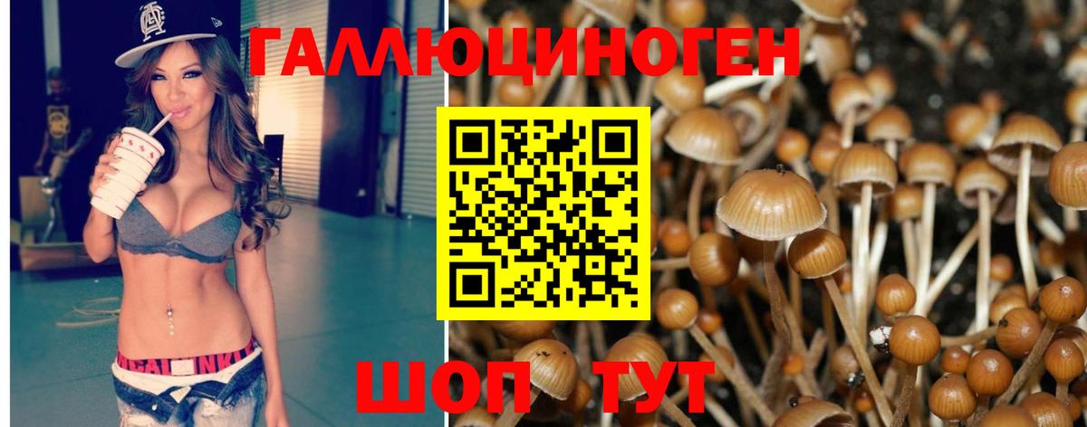 Галлюциногенные грибы Psilocybe Нижневартовск
